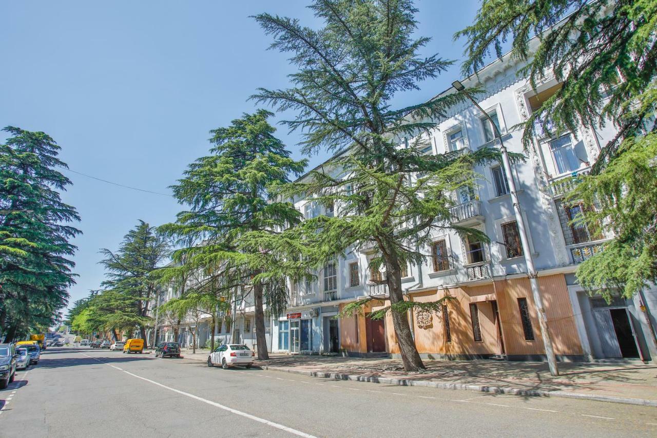 Apartment Anano 库塔伊西 外观 照片